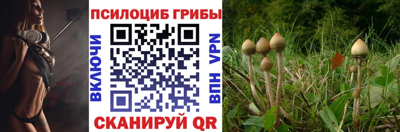 Псилоцибиновые грибы мухоморы  Теберда 